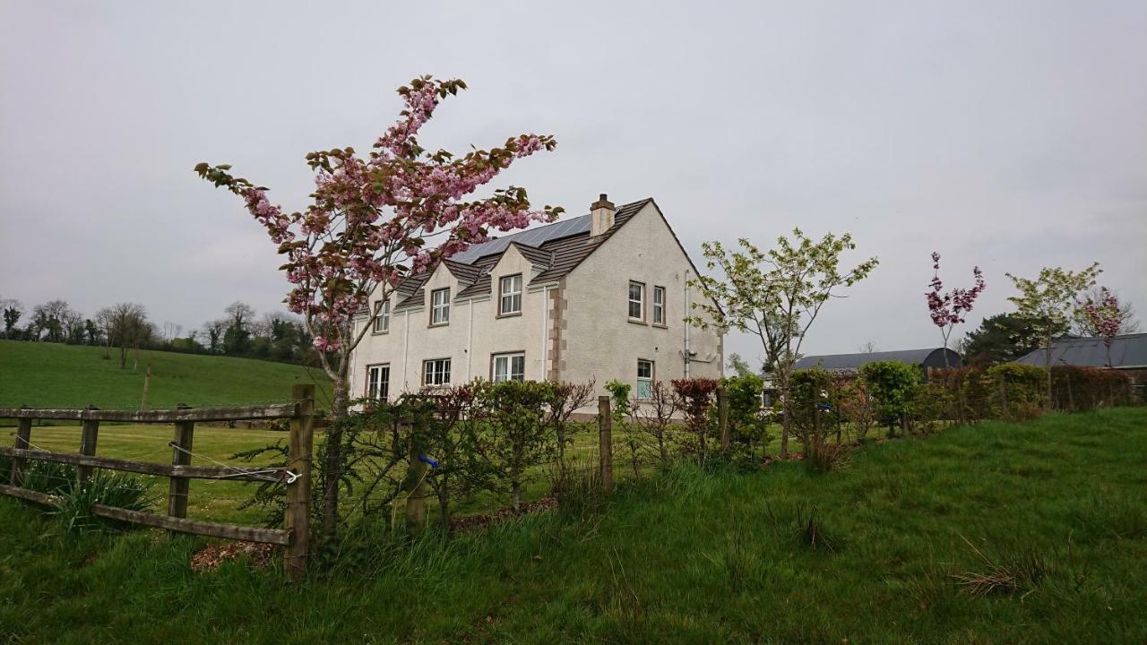 Penzion Laraghson House Enniskillen Exteriér fotografie